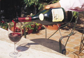 A World of Exotic Tastes: Oh, the Joys of Drinking Fine Wine!