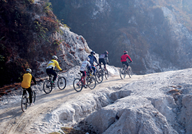 Adventure on Wheels: Mountain Biking