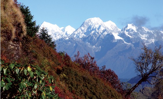 Walking with the Clouds the Kalinchok Trek