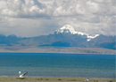 The Shadows of Mt. Kailash: Desolate and Harsh, A Destination Only For The 'Spirited'