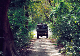 Rangers: The Unsung Heroes