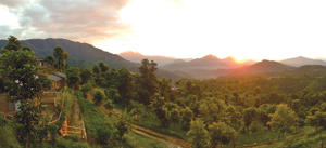 It Takes a Village:Memoirs of  a sojourn at The Gorkha Gaun Resort