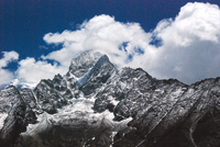 Blazing a trail to the top