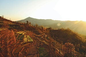 The walk of my life: Memoirs of an unforgettable journey.