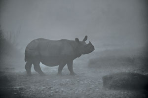 Nepal's All-Season Bounty