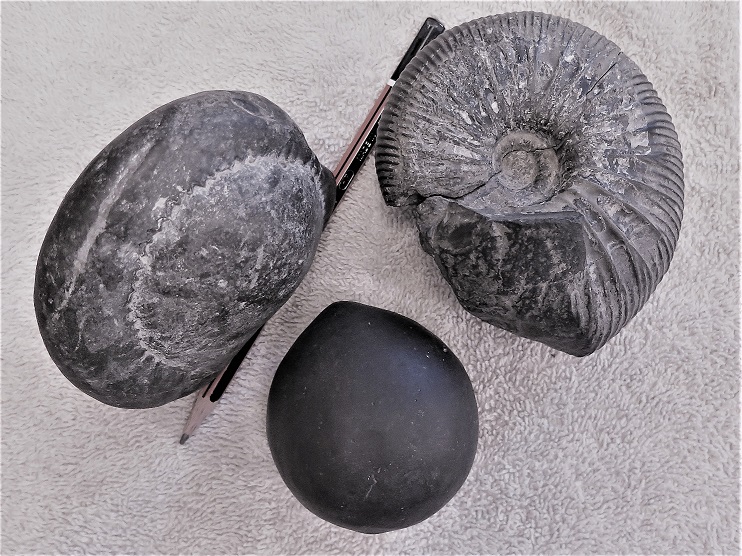 The Saligrams of Muktinath