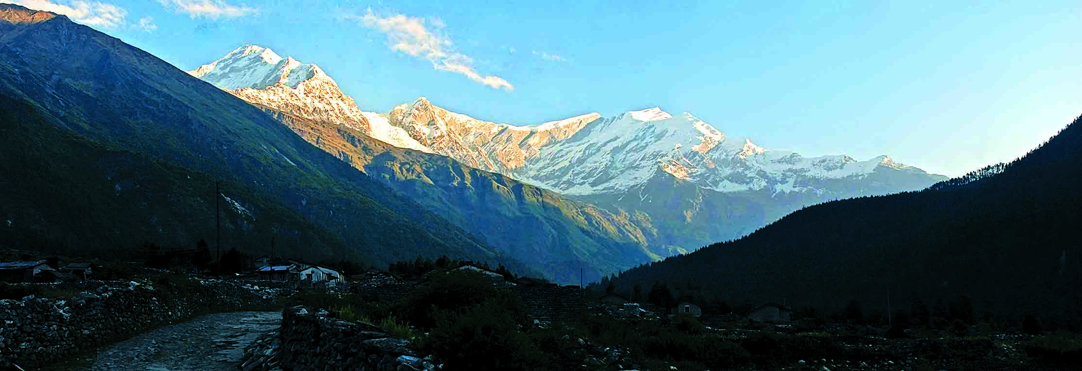 The Chinese Connection