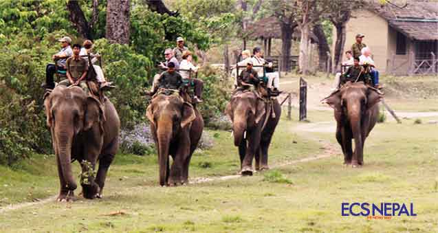 Stories of a  Himalayan Hunter