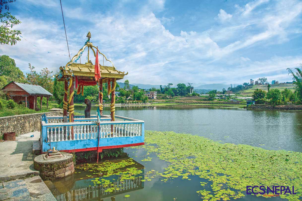 Supermacy of the Serpents