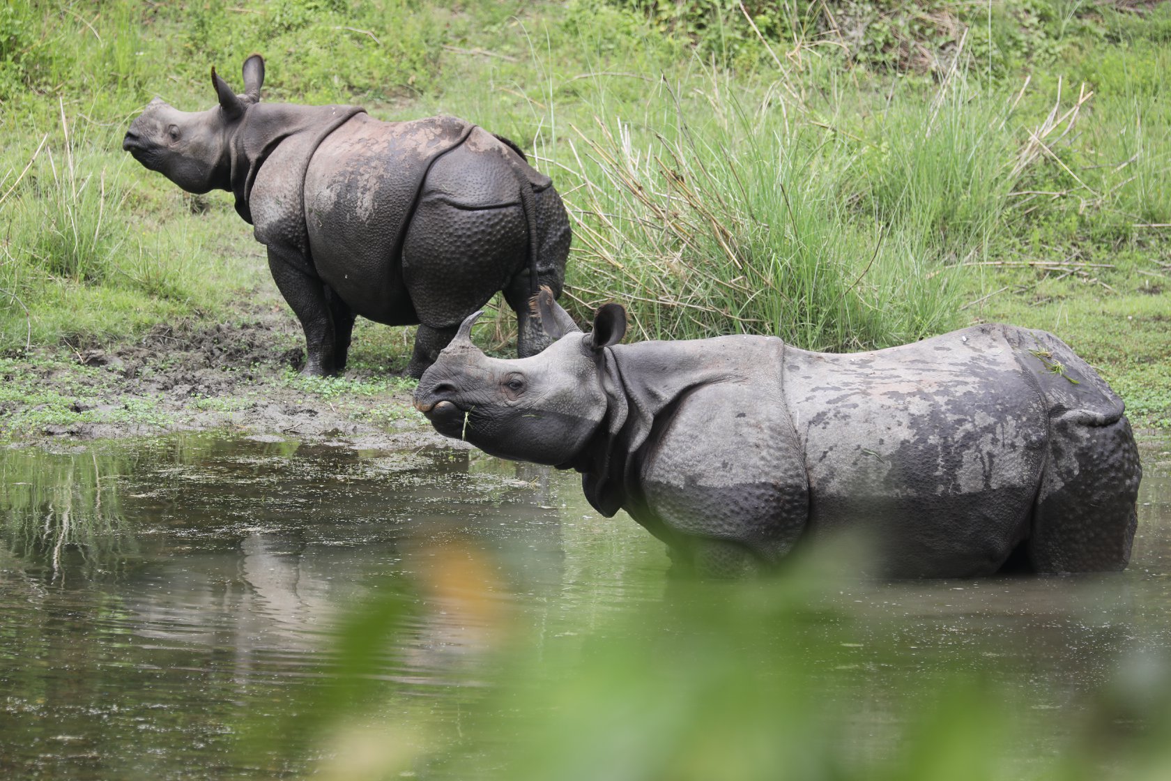 A Visit to Sarang Wildlife Sanctuary