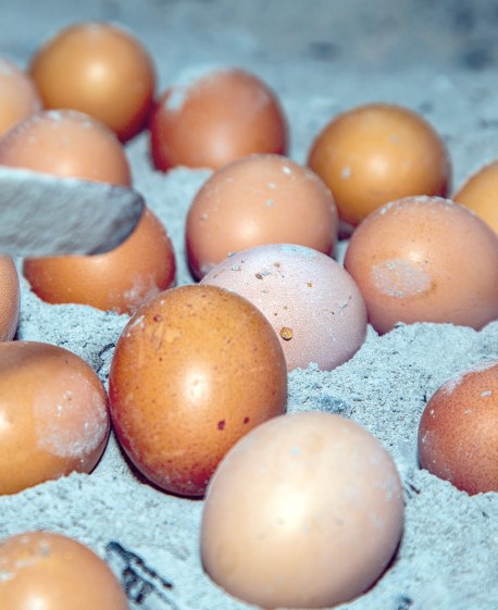 Poleko Anda - A True Local Treat Worth Traveling For