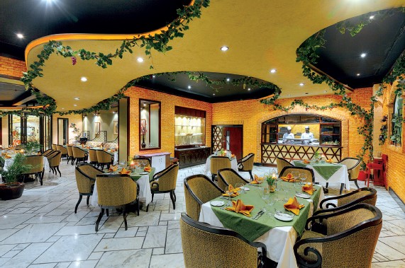 Celebrate Special Moments at Olive Garden