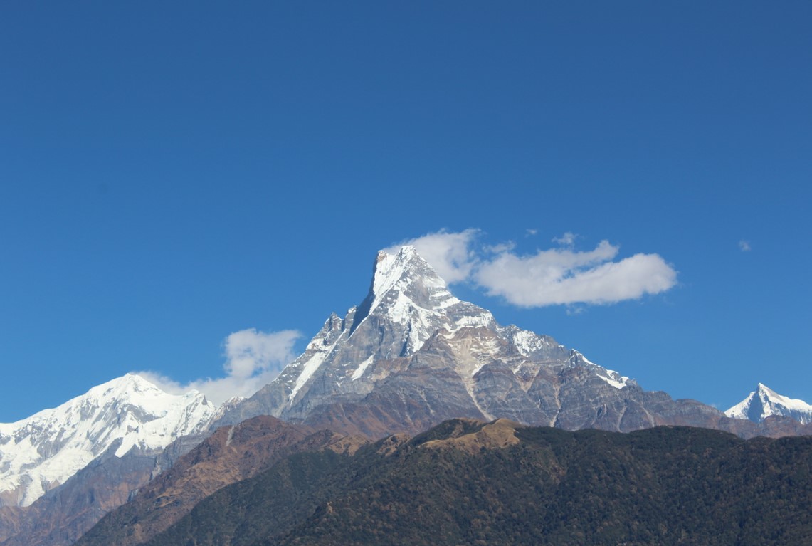 In the Footprints of the Guerillas