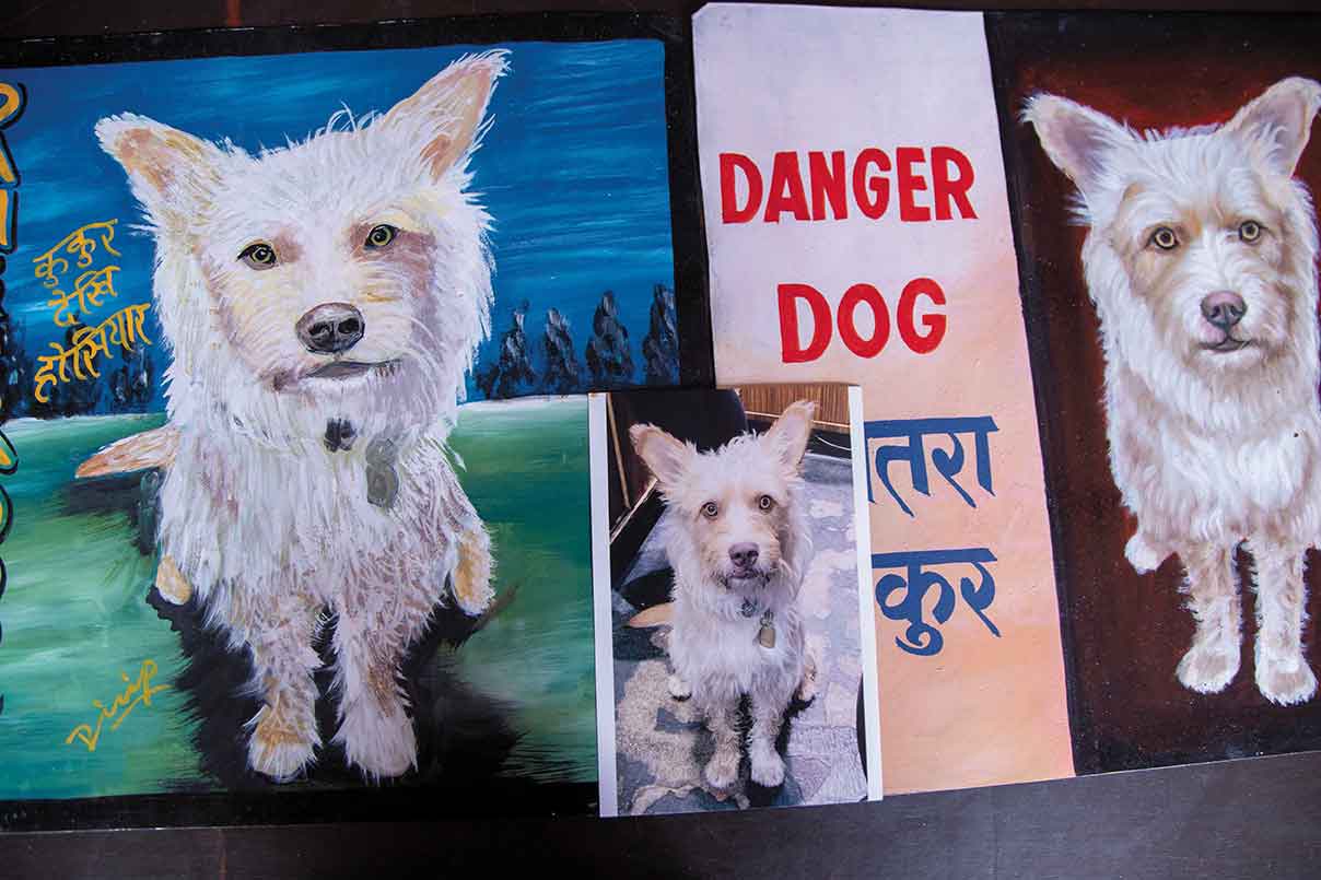 Nepal Art Dogs: Rediscovering the disappearing artwork