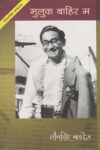 The Art in Bangdel's Novels