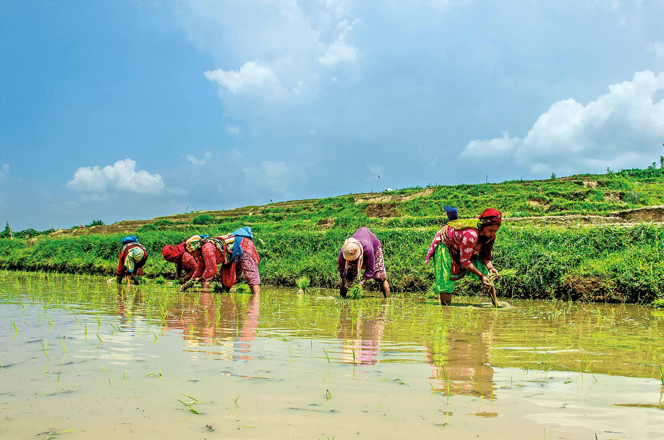 A month of rain and ritual