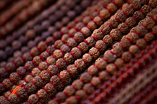 Seeking spirituality through Rudraksha: Mystical beads and their importance