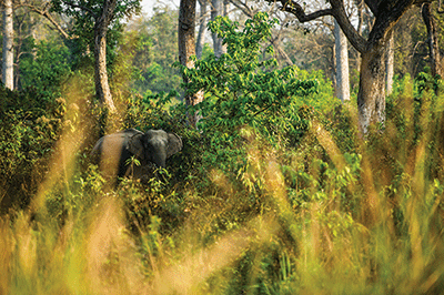 Pramod Neupane-WWF Nepal